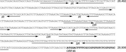 FIG. 4.