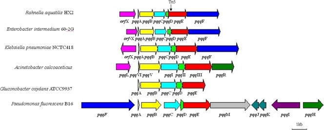 FIG. 6.