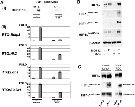 Figure 2.