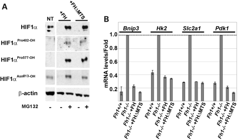 Figure 4.