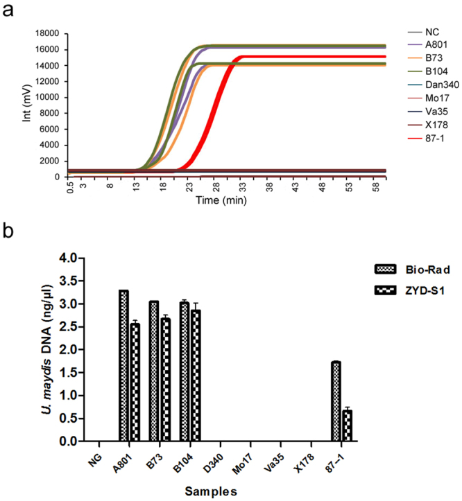 Figure 7