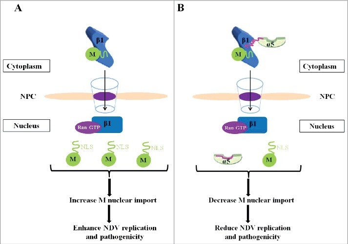 Figure 10.