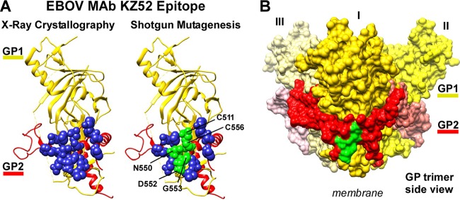 FIG 3