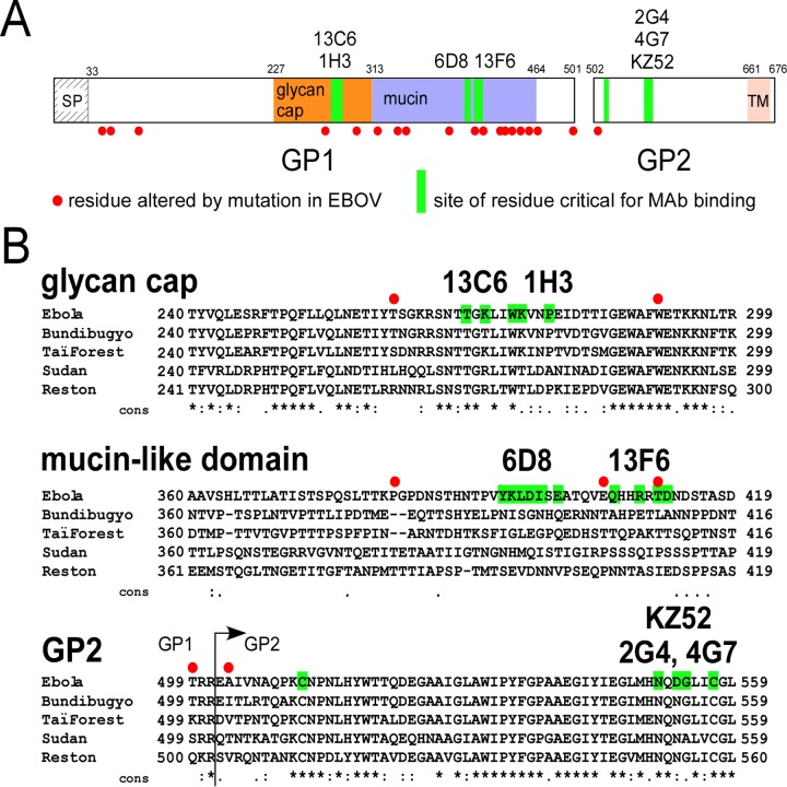 FIG 7