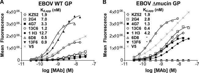 FIG 8