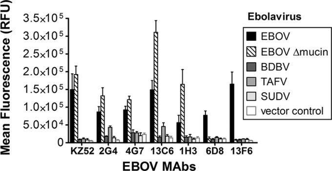 FIG 6