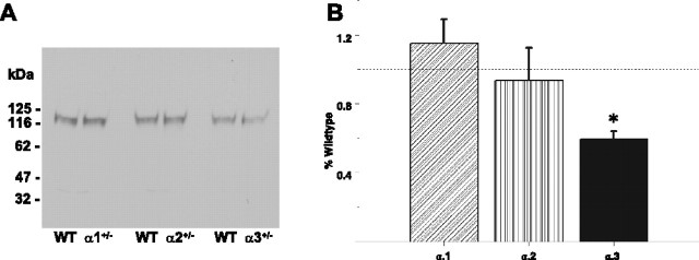 Figure 9.