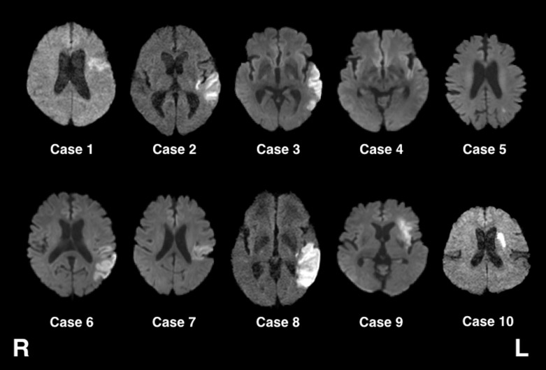 Fig. 2.