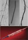 Fig. 5