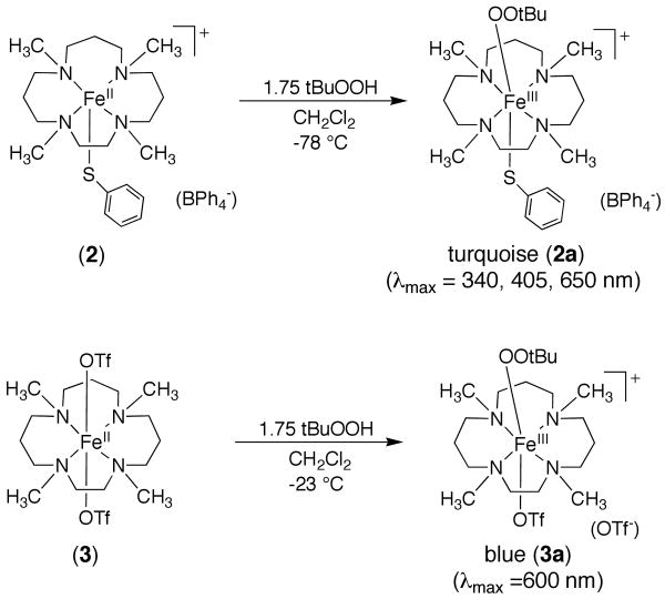 Scheme 2