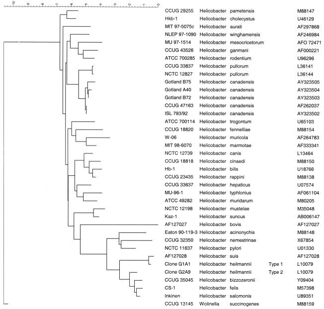 FIG. 1.