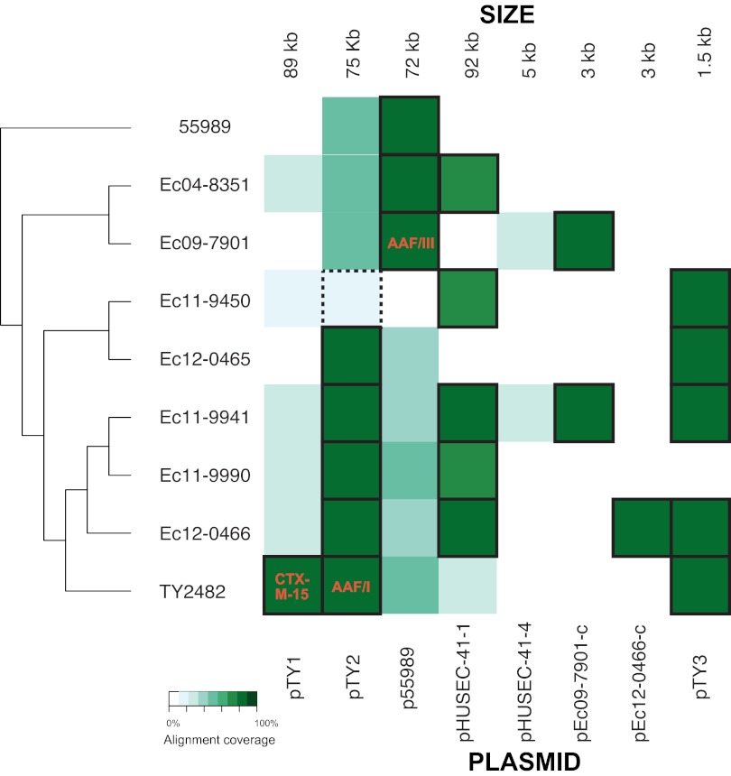 FIG 3 