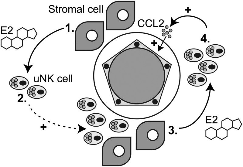 Figure 5