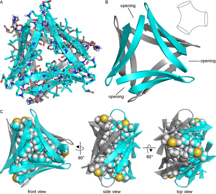 Figure 7