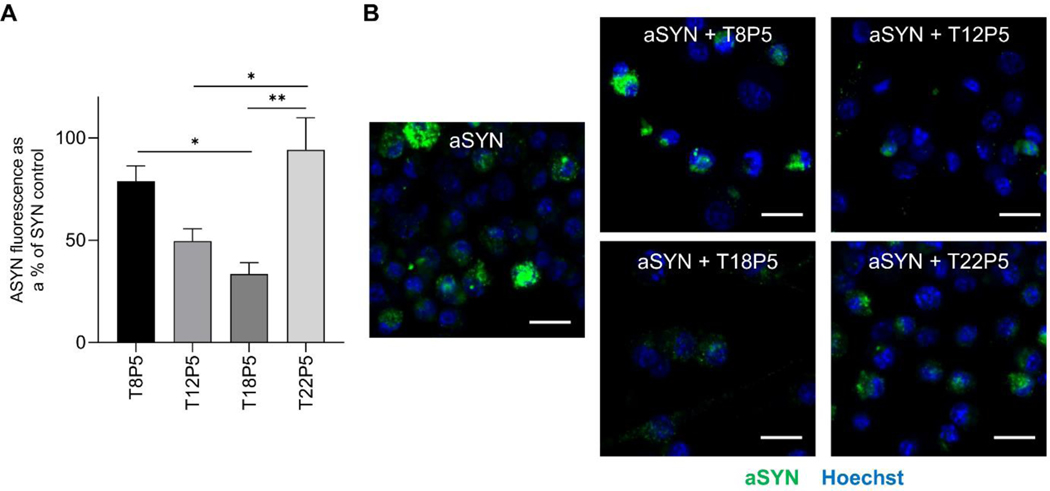 Figure 6: