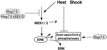 FIG. 9.