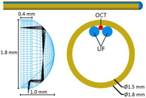 Fig. 2