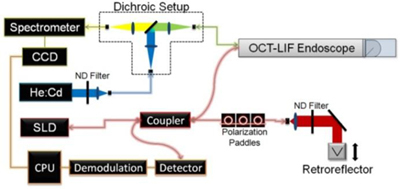 Fig. 1