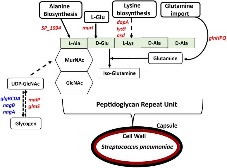 FIGURE 2