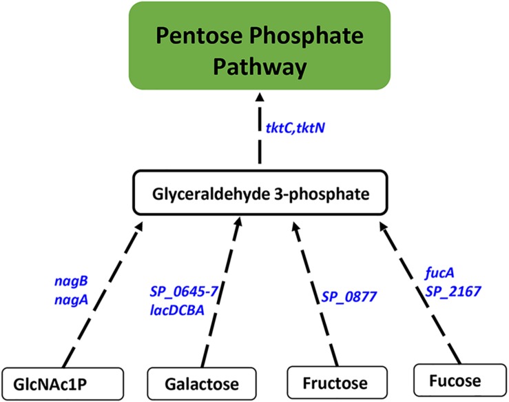 FIGURE 3