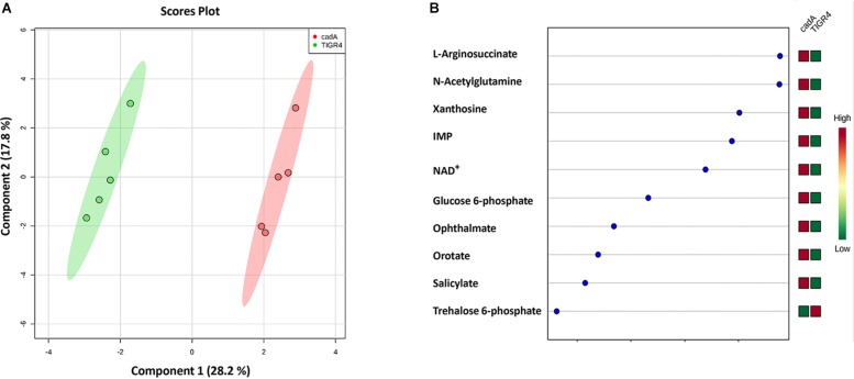 FIGURE 4