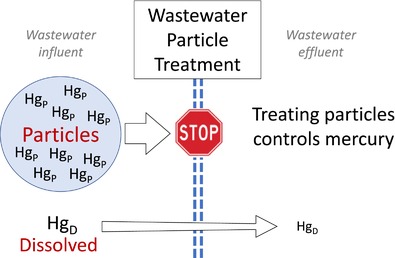 graphic file with name WER-97-e70158-g004.jpg