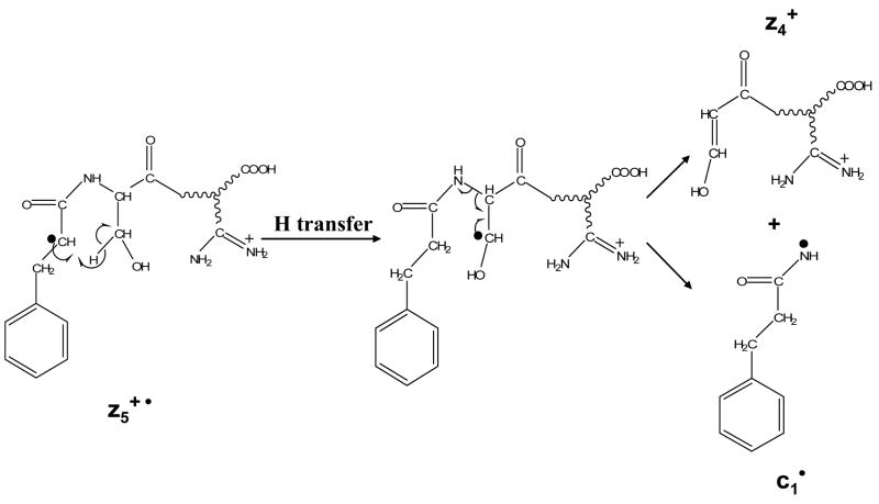 Scheme 3