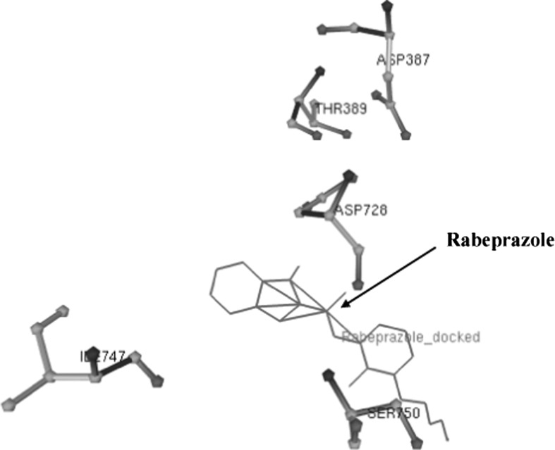 Fig. 5