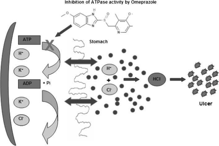 Fig. 1