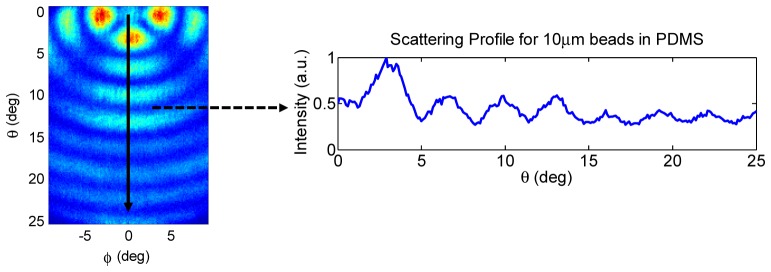 Fig. 6