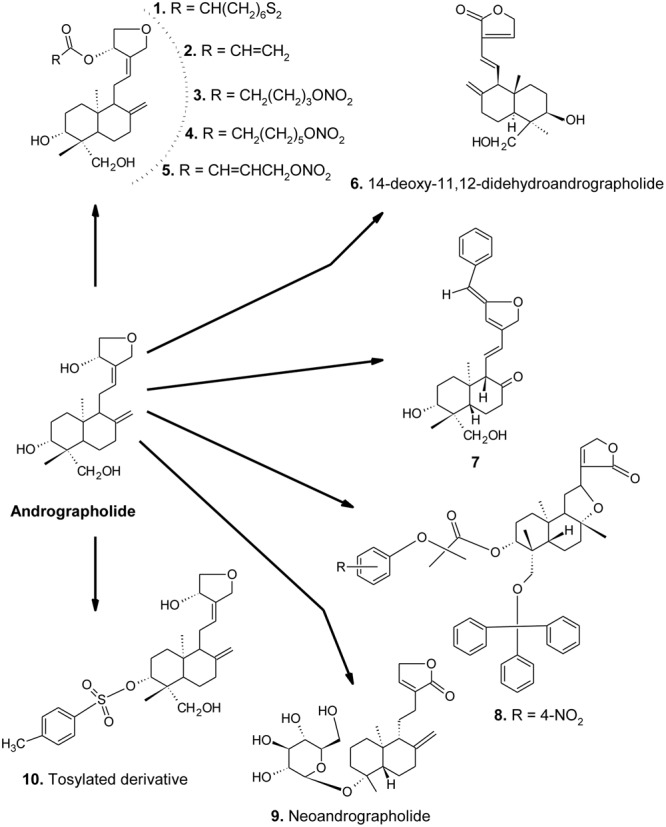 FIGURE 1