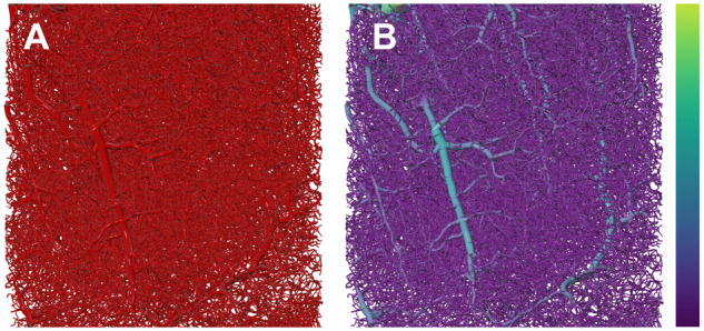 Fig. 6.