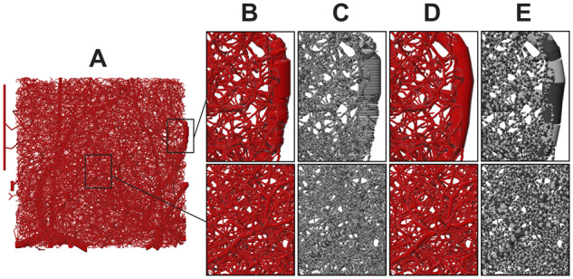 Fig. 4.