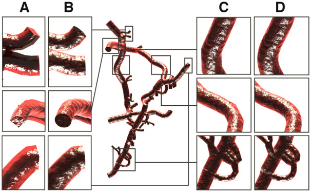 Fig. 5.