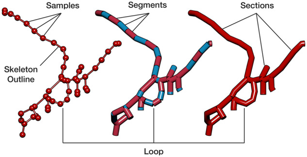 Fig. 1.