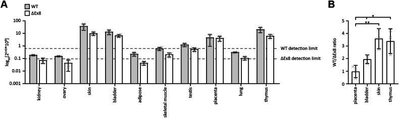 Fig. 7