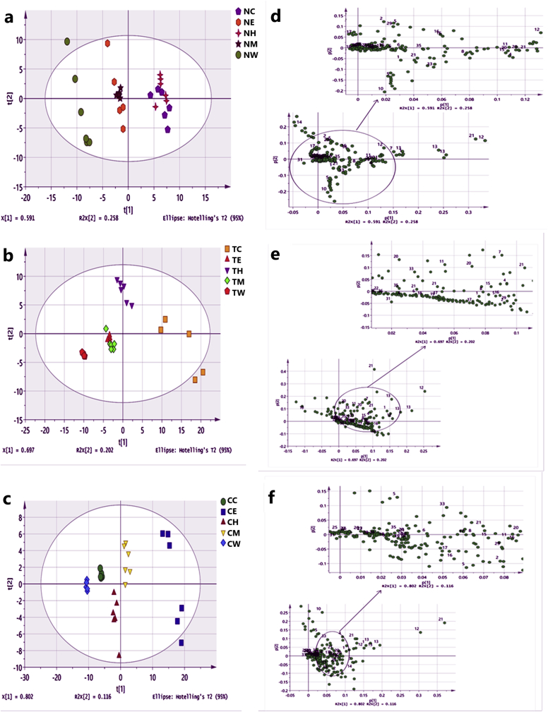 Figure 6