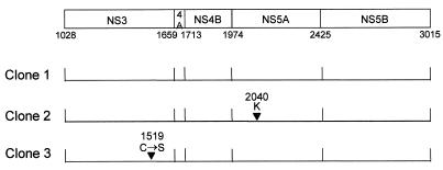 FIG. 5.