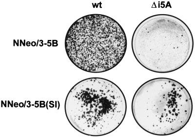 FIG. 7.