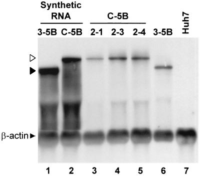 FIG. 9.