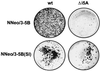 FIG. 7.
