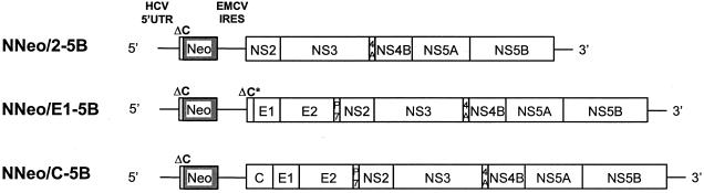 FIG. 8.