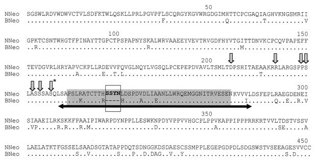 FIG. 11.