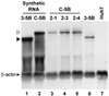 FIG. 9.