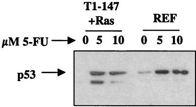 FIG. 7.