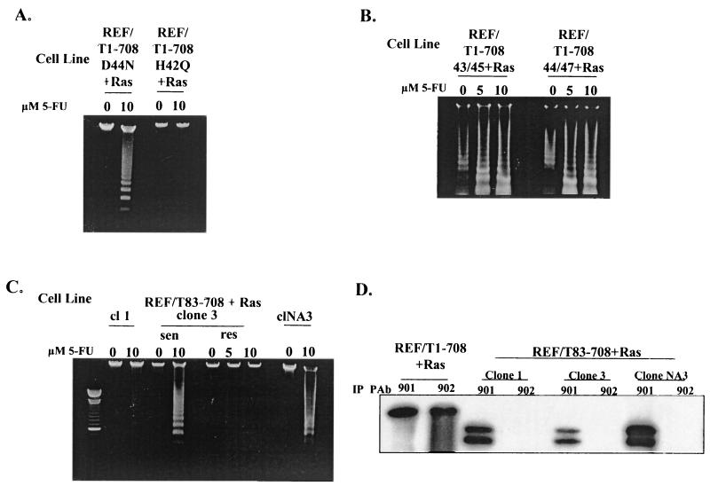 FIG. 5.