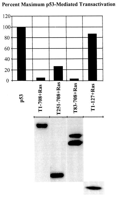 FIG. 10.