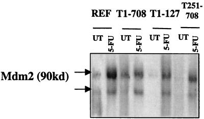 FIG. 8.