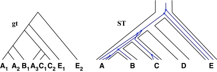 FIG. 7.