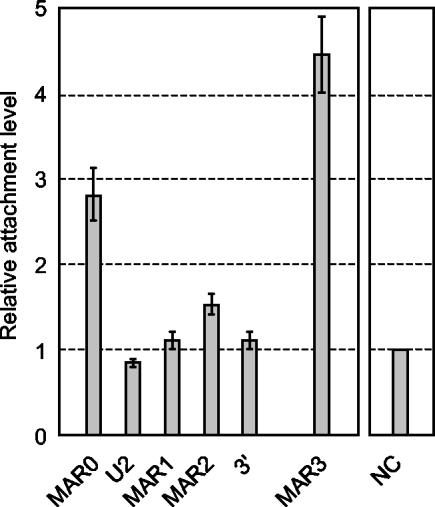 FIG. 4.